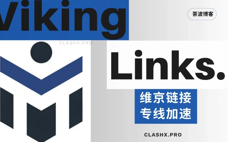 Viking Links 资料观察：把套餐层级和客户端支持分开看