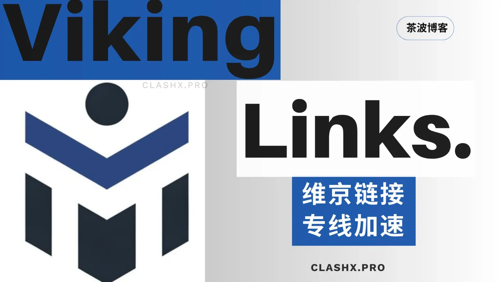 Viking Links 资料观察：把套餐层级和客户端支持分开看